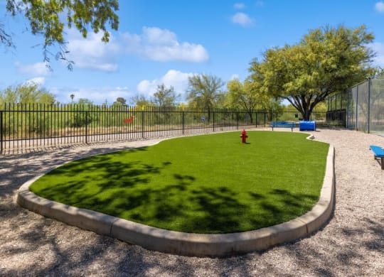 Community Dog Park with Agility Equipment at Lakeside Casitas Apartments in Tucson, AZ.