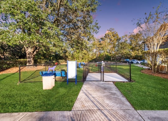 a dog park with a chain link fence and a dog playground