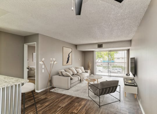 Model living room