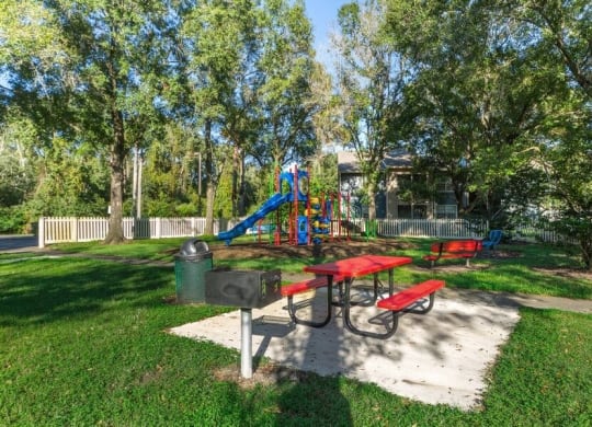 Playground and picnic area