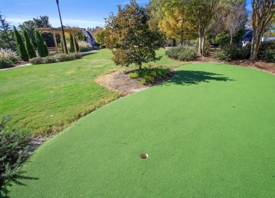Outdoor activity area with mini golf and others
