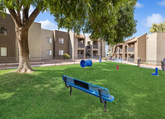 Community Dog Park with Agility Equipment at Saddle Ridge Apartments in Tucson, AZ.