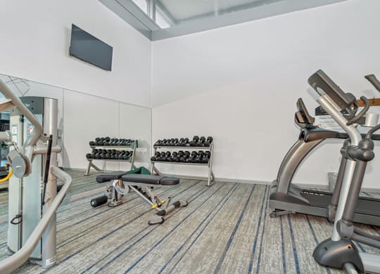 Fitness center interior with exercise equipment  at Stone Ends apartments in Stoughton, MA