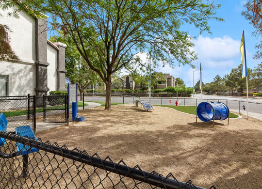 Community Dog Park with Agility Equipment at Meadow Ridge Apartments in Las Vegas, NV.
