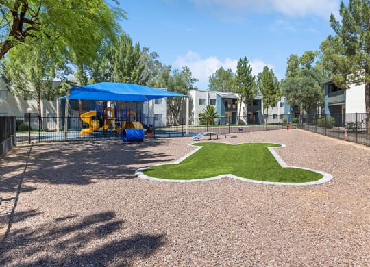 Community Dog Park with Agility Equipment at Solano Springs Apartments in Tucson, AZ.