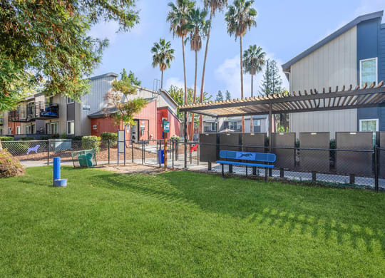 Community Dog Park with Agility Equipment at The Archer Apartments in Sacramento, CA.