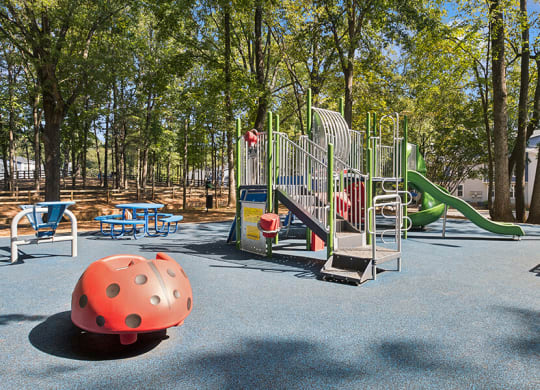 Community Playground with Slides at Arbor Village Apartments located in Charlotte, NC.