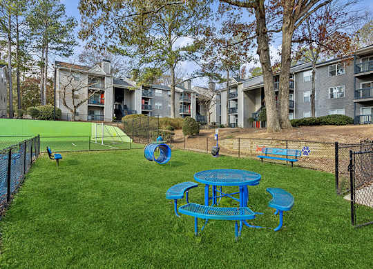 Community Dog Park with Agility Equipment at Element 41 Apartments located in Marietta, GA.