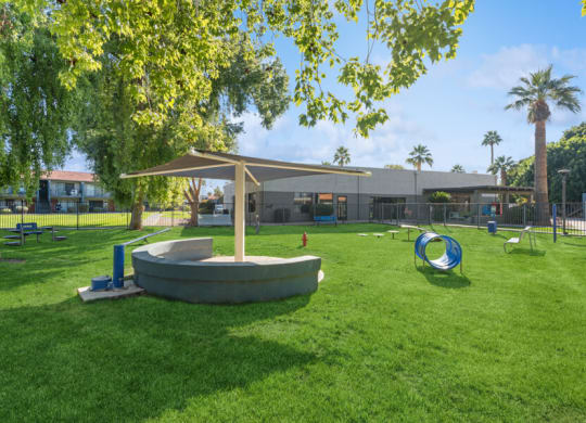 community dog park at Verona Park, Arizona