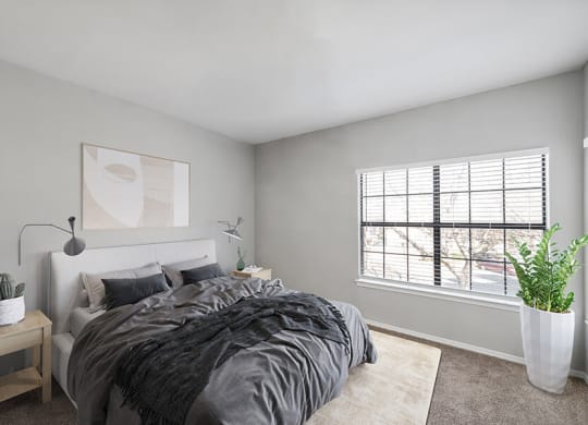 Lewisville, TX, Pet-Friendly Apartments - Bridges at Oakbend - Bright Bedroom With Upholstered Bed, Gray Bedding, Nightstand, Large Window With Blinds, Neutral Carpeting, And A Potted Plant.