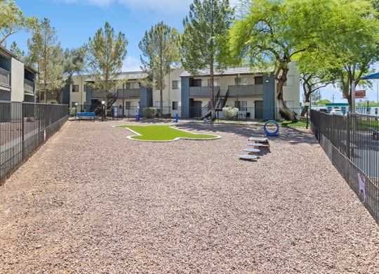 Community Dog Park with Agility Equipment at Solano Springs Apartments in Tucson, AZ.