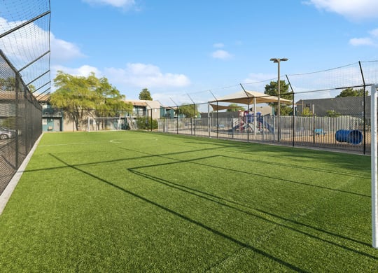 Community Soccer Field with Nets at Tanque Verde Apartments located in Tucson, AZ.