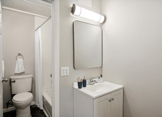 Model Bathroom with a separated Bathtub/Shower/Toilet, Wood-Style Flooring & White Cabinets at Elevate on Parkway, Burnsville, MN