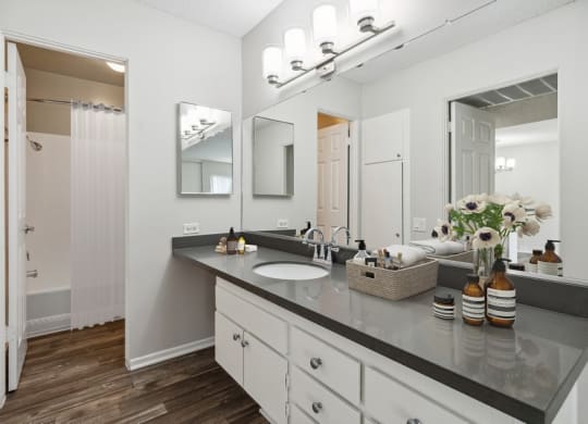 Model bathroom with large vanity