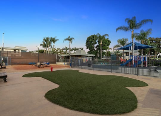Community Dog Park with Agility Equipment at Madison Park Apartments located in Anaheim, CA.