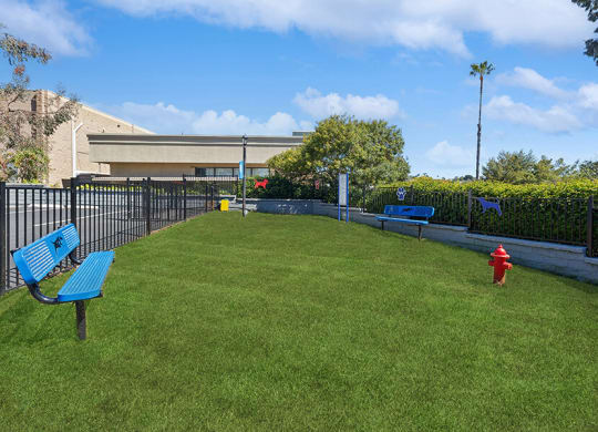 Community Dog Park with Agility Equipment at Colonnade at Fletcher Hills Apartments in El Cajon, CA.