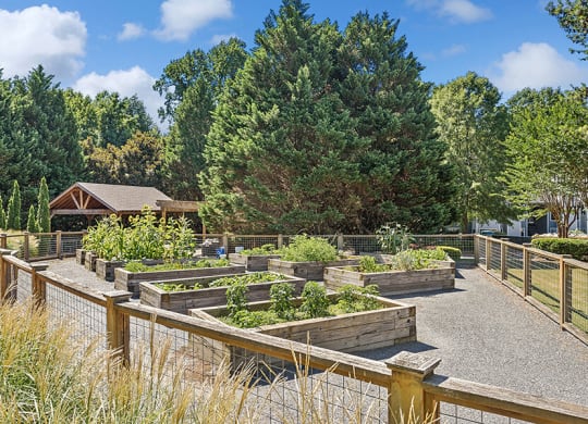 Community Garden with Planter Boxes at Lakeside Retreat Apartments located in Peachtree Corners, GA.