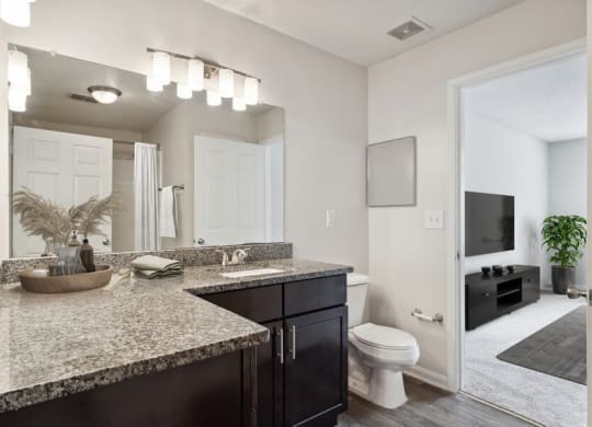 Model bathroom with large vanity