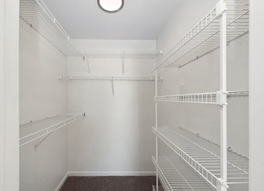 Model Walk in Closet with Shelves at Hidden Creek Apartments in Lewisville, TX.