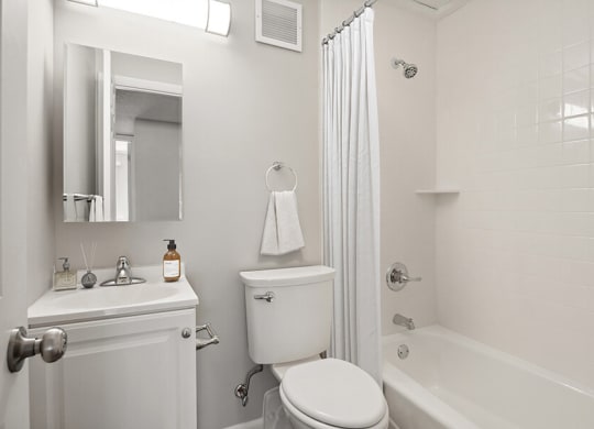 Model Bathroom with Bathtub/Shower, Wood-Style Flooring & White Cabinets at Elevate on Parkway, Burnsville, MN, 55337