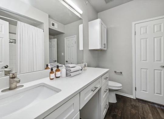 Model bathroom at Bridges at Oakbend, Lewisvillle