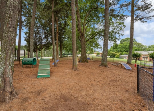 take a stroll through the dog park