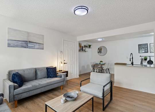 Model living room at Northlake Apartments in Jacksonville, FL