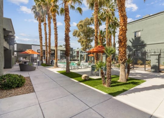 a courtyard with palm trees and a building in the background