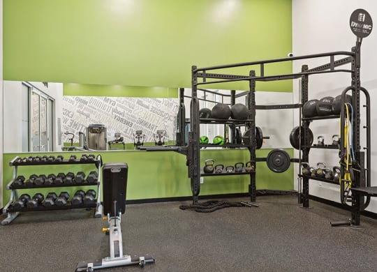 Community Fitness Center with Equipment at Grand Pavilion Apartments in Tampa, FL.