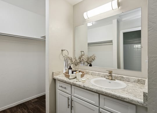 Model Bathroom with White Cabinets, Wood-Style Flooring & Closet at Broadmoor Village Apartments in Salt Lake City, UT.