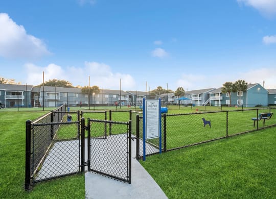 Community Dog Park with Agility Equipment at Park at 7200 Apartments in Jacksonville, FL.