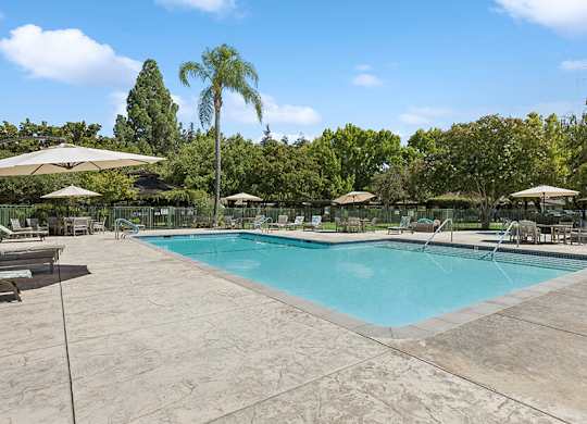 Swimming pool with umbrellas and chairs around it at Walnut Creek Manor Apartments in Walnut Creek, CA