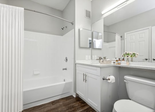 Model bathroom bathtub