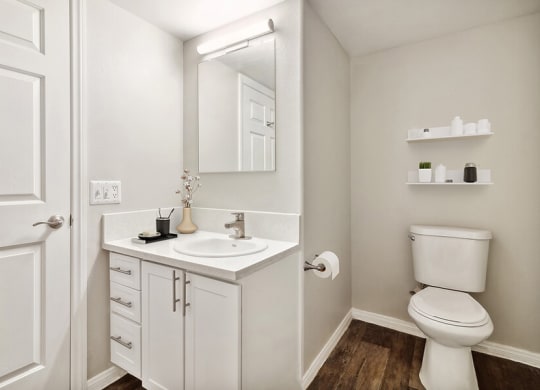 Model Bathroom with Wood-Style Flooring and White Cabinets at Loma Vista Apartments in Las Vegas, NV.