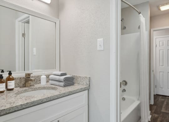a bathroom with a sink and a mirror and a shower