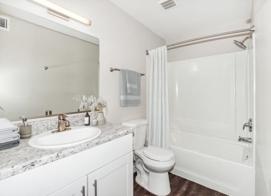 Model bathroom