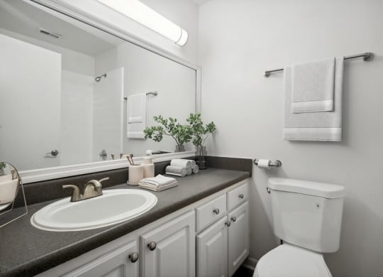 Model primary bathroom