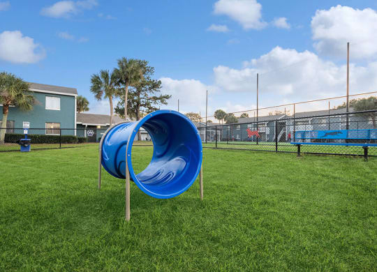 Community Dog Park with Agility Equipment at Park at 7200 Apartments in Jacksonville, FL.
