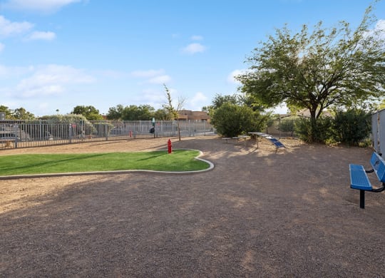 Community Dog Park with Agility Equipment at Tanque Verde Apartments located in Tucson, AZ.