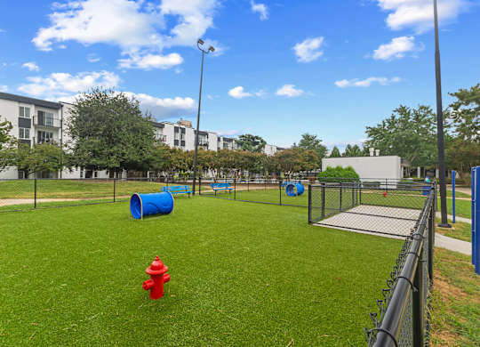 Dog Park with A red fire hydrant sits on a green lawn