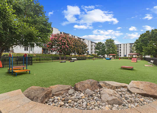 Dog park with agility course