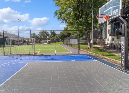 Community Sports Court and Soccer Field Area at Waterfront Apartments in Lakewood, CO.