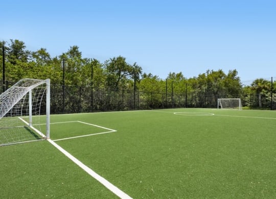Soccer Field