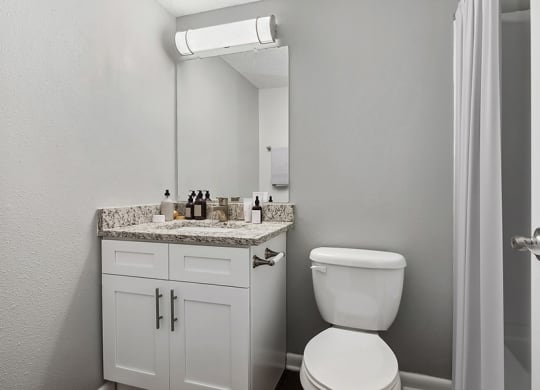 Model Bathroom with White Cabinets & Wood-Style Flooring at Stoney Trace Apartments in Charlotte, NC.