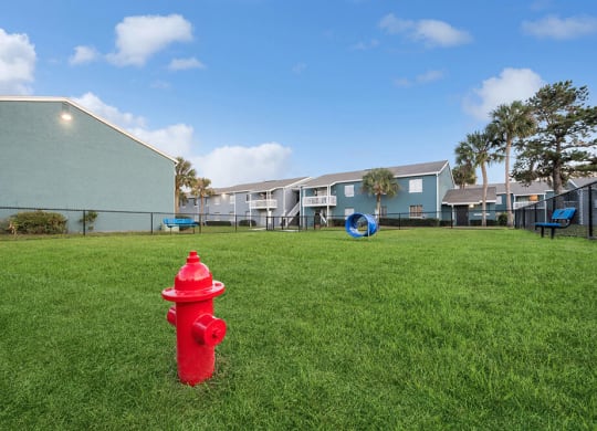 Community Dog Park with Agility Equipment at Park at 7200 Apartments in Jacksonville, FL.