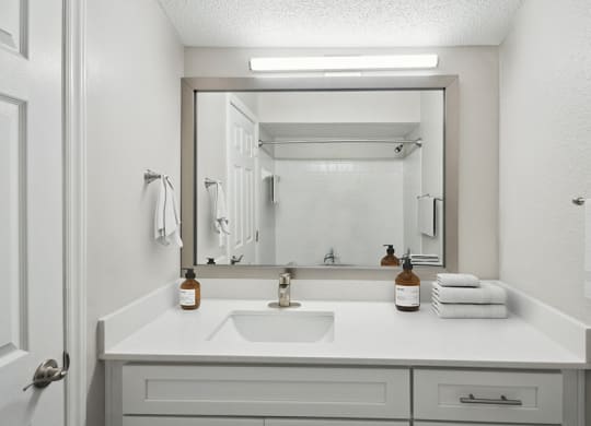 Model Bathroom with White Cabinets and Wood-Style Flooring at Arbor Village Apartments located in Charlotte, NC.