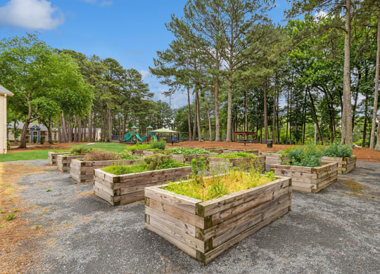 Community garden with raised beds and a playground in the background