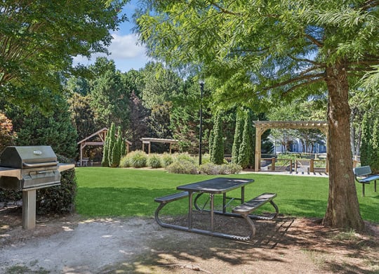 Outdoor BBQ Area with Picnic Table at Lakeside Retreat Apartments located in Peachtree Corners, GA.