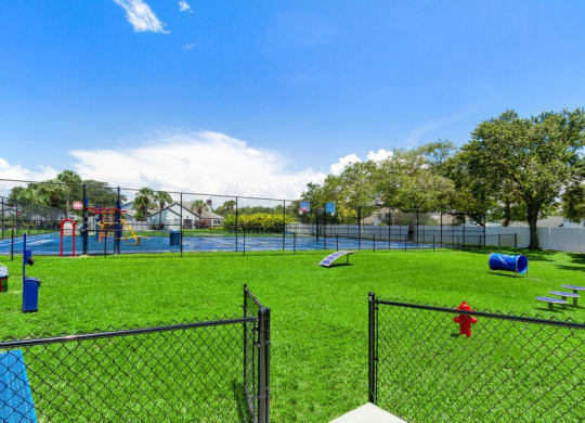 Dog park