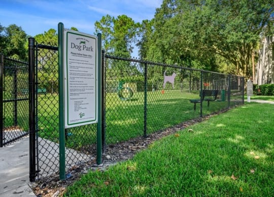 Fenced in Dog Park